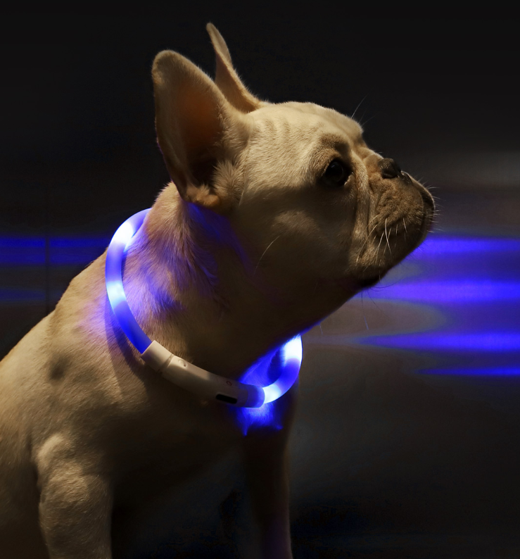 Pet Light Collar Anti-Lost Collar for Dogs Pet Collars