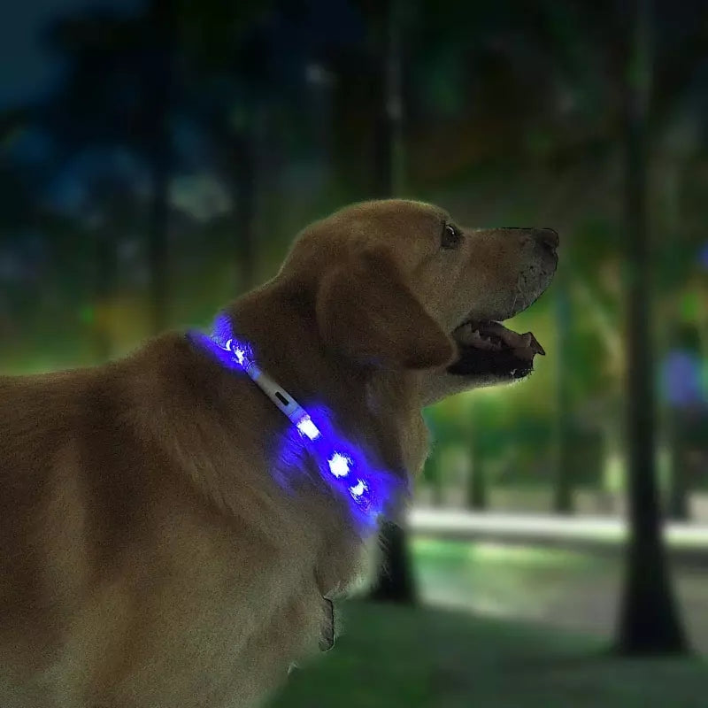 Pet Light Collar Anti-Lost Collar for Dogs Pet Collars