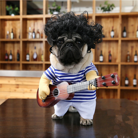 Pet dog guitarist dress