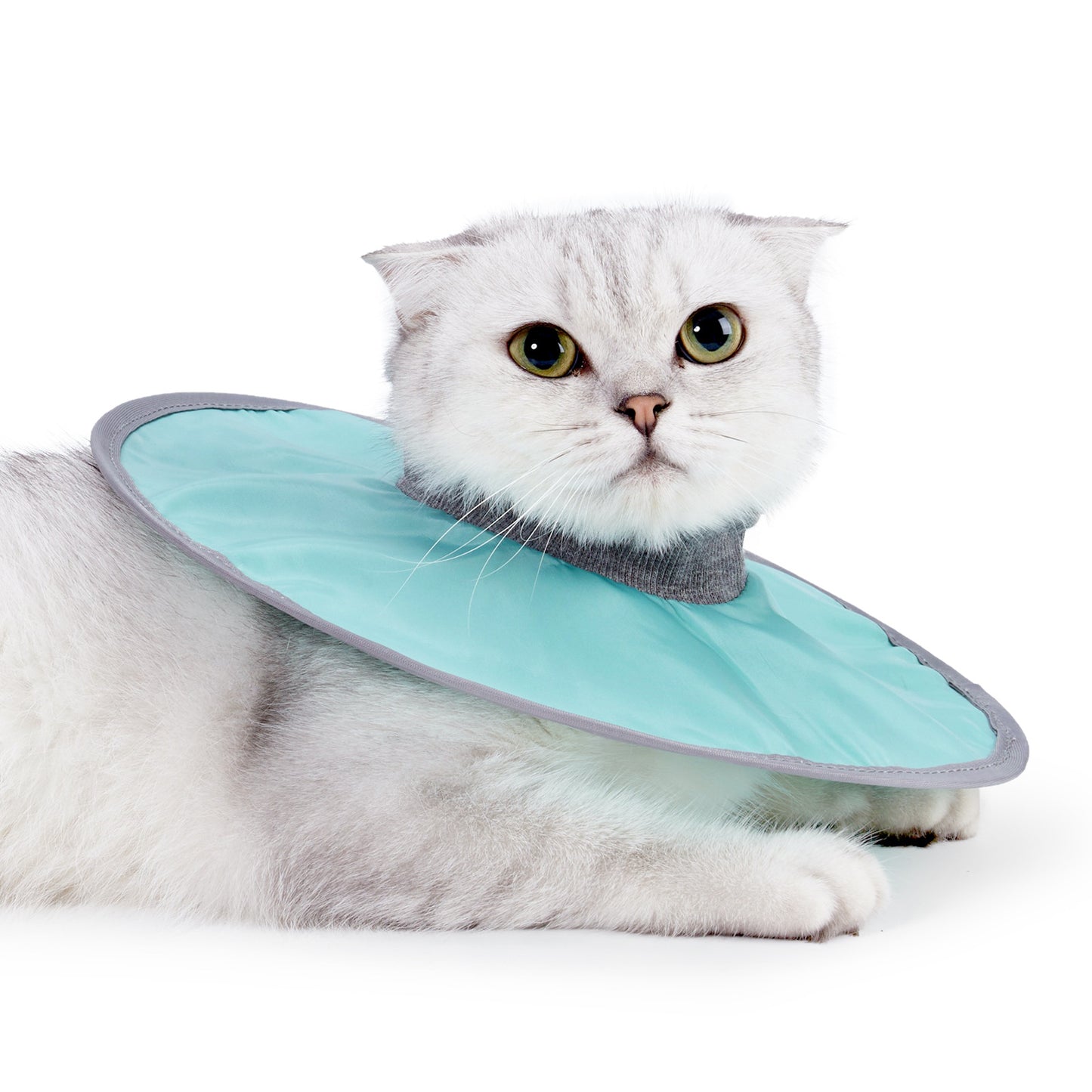 Stylish Cloth Circle Collar for Cats: Purr-fect Pet Accessories