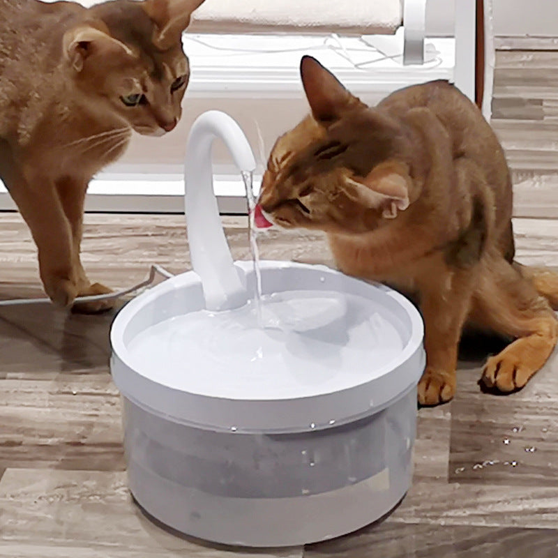 Cat Drinking Fountain: Hydration at Its Best