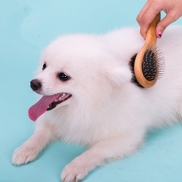 Pet Comb Dog Cleaning Brush