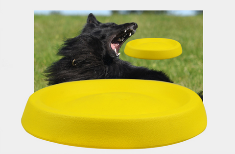 Pet Dogs Throwing Plastic Toys