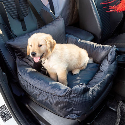 Car-Ready Waterproof Kennel for Cats and Dogs