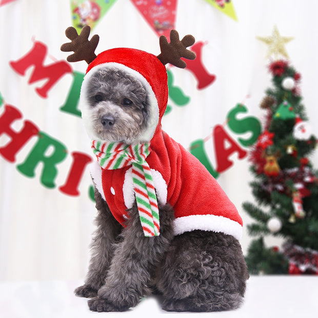 Festive Christmas Attire and Supplies for Your Pooch