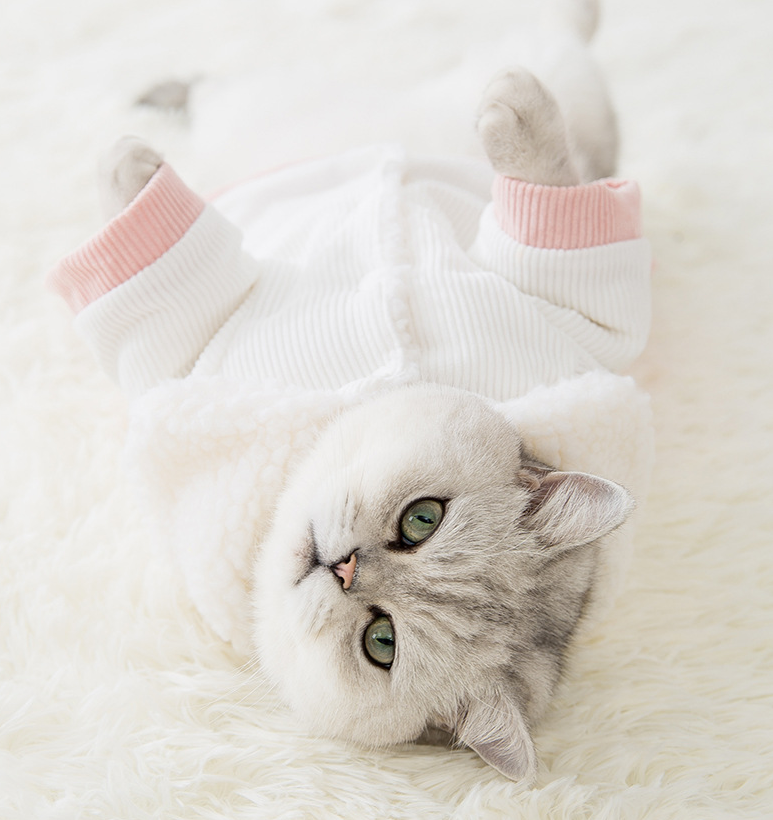 Adorable Cartoon-Printed Pet Cotton Blanket
