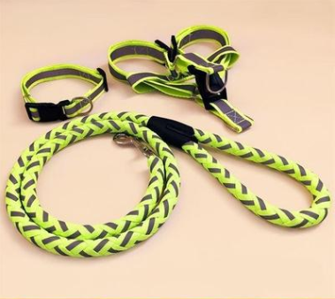 Pet dog leash