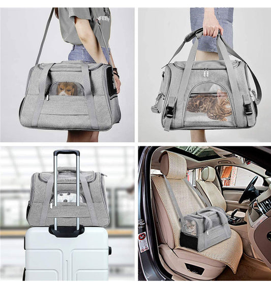 Airline-Approved Pet Backpack: Travel Comfort