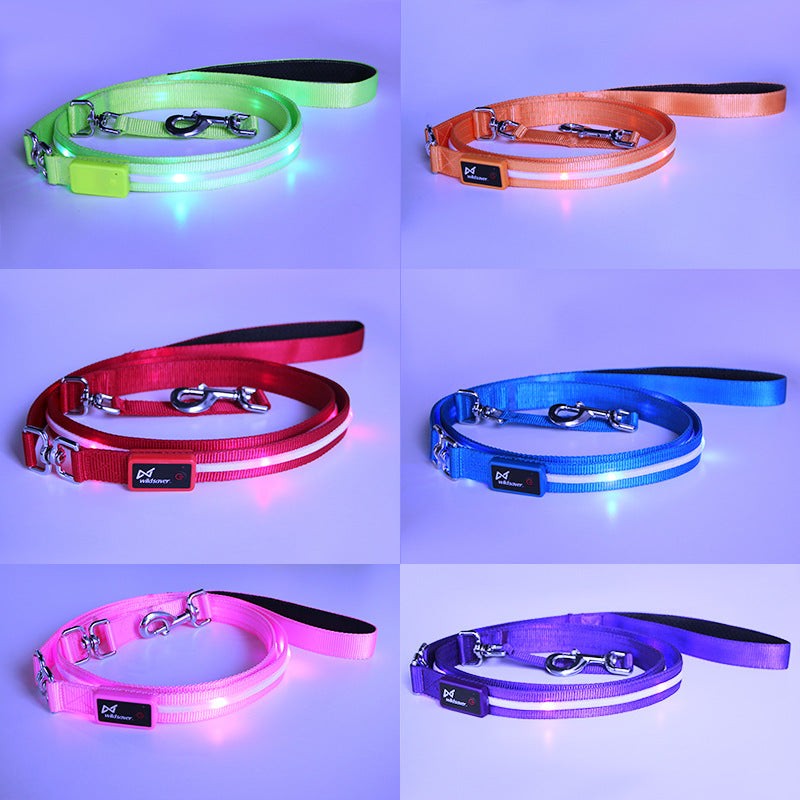 Illuminated Pet Leash: Creative LED USB Charging