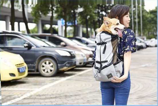 Ventilated And Breathable Pet Backpack