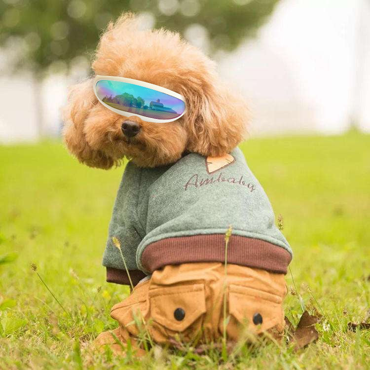 Pet Dog Supplies Sunscreen UV Goggles