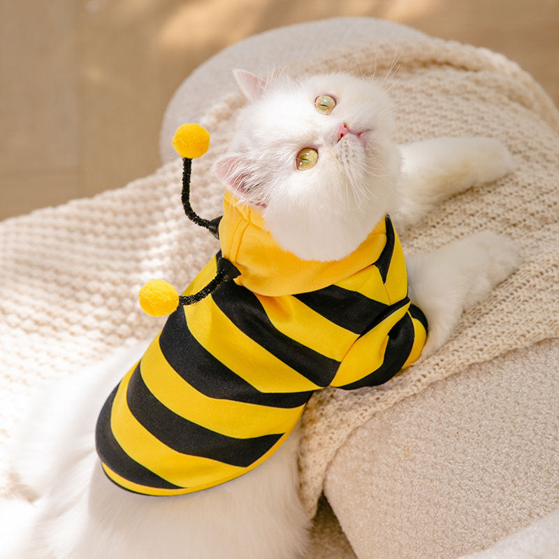 Honeybees Turned Into Pet Clothes