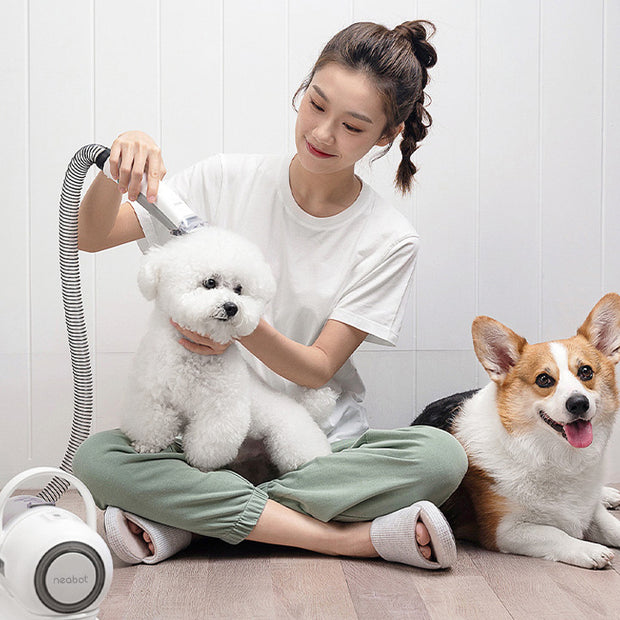 Pet Grooming Tool For Shaving And Grooming