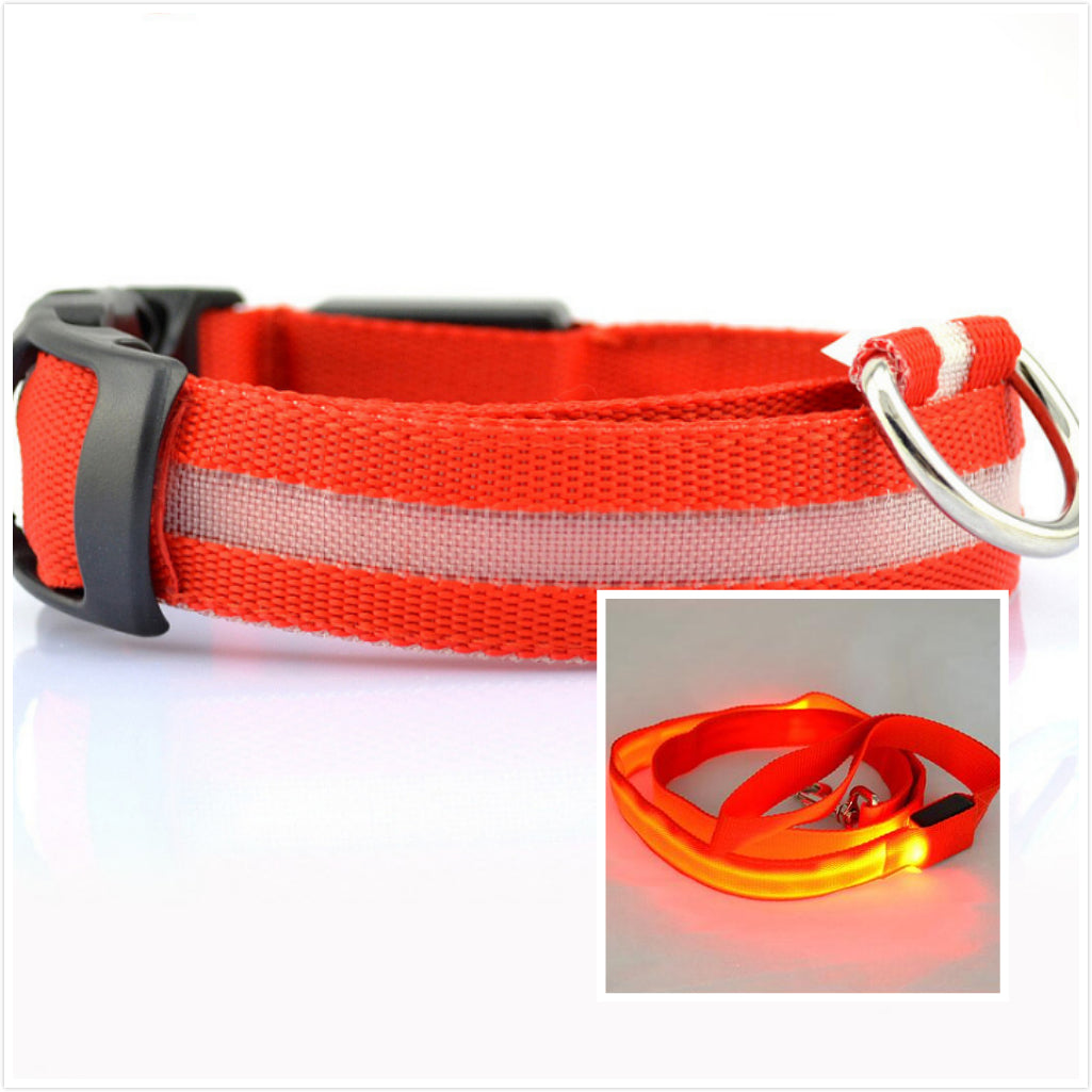 Illuminated Dog Collar: Keep Your Pup Safe and Stylish!