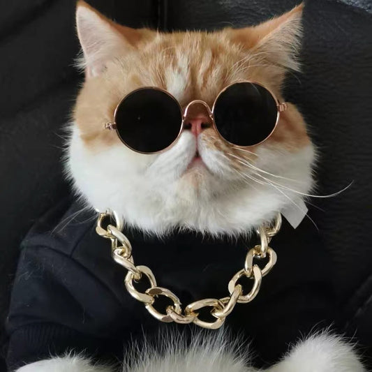 Stylish Sunglasses for Your Feline Friend