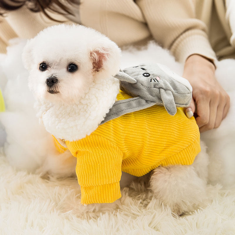 Corduroy Pet Clothes: Cozy and Stylish Attire