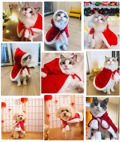 Funny Christmas Cat Cloak: Transform Your Kitty's Festive Look