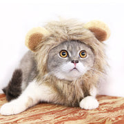 Funny Pet Hat For Small Dogs Cats Hat Emulation Lion Hair Mane Ears Head Cap Scarf Pet Halloween Festival Costume