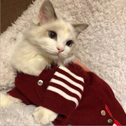 Fashionable Cat Pet Clothes: Style for Your Feline