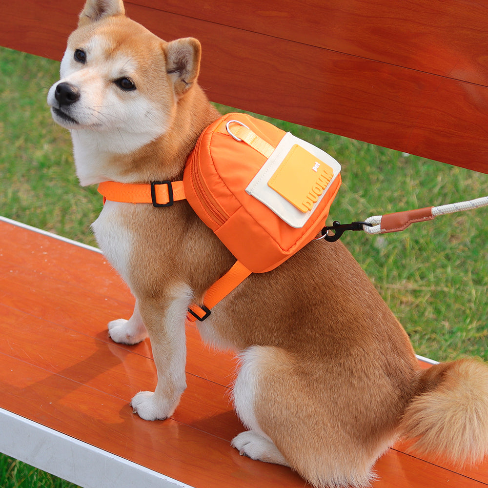 Stylish Pet School Bag for Fashionable Outdoor Adventures