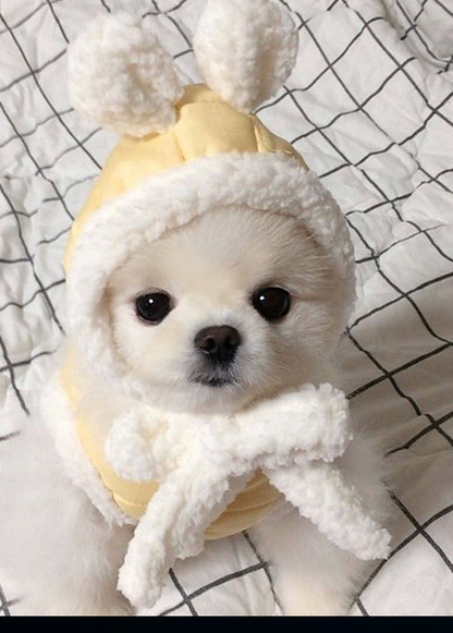Pet clothes keep warm