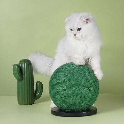 Cactus-Shaped Sisal Cat Scratching Board Toy