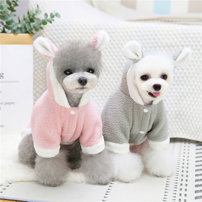 Small and Medium-Sized Dog and Cat Pet Apparel