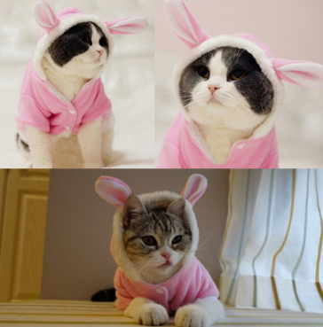 Pet Cat Clothes Mascotas Costume Clothes For Pet Hoodies Cute Rabbit Cat Clothing Puppy Fleece Warm Pet Cat Jacket