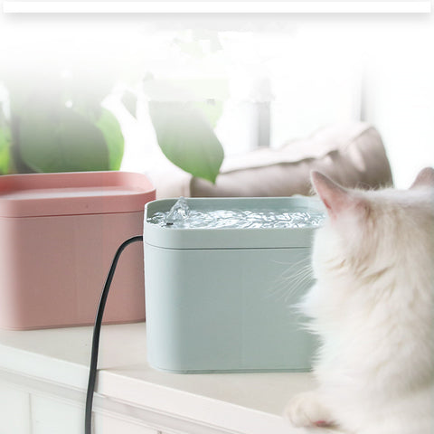 Pet Cat Smart Drinking Water Fountain