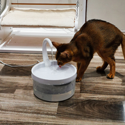 Automatic Circulation Drinking Fountain Drinking Fountain Pet