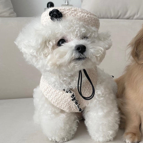 Knitted Pet Hat: Cozy and Stylish Accessories for Your Furry Friend