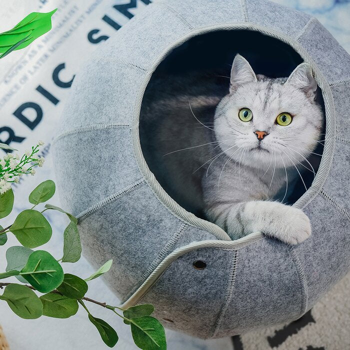 Foldable Cat Tunnel: Interactive Fun for Kittens and Cats