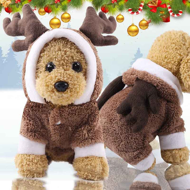 Festive Christmas Attire and Supplies for Your Pooch