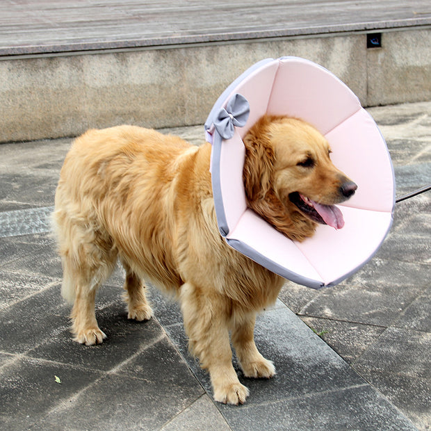 Pet Supplies Dog Sick Care Collar