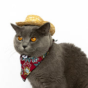 Pet Cat Western Straw Cowboy Hat