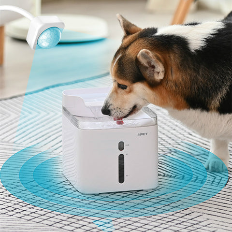 Mobile Water Pet Products Drinking Water Filtration