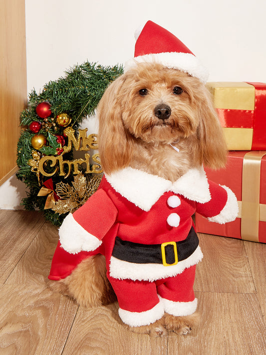Christmas Pet Costume: Holiday Dress-Up for Small Dogs