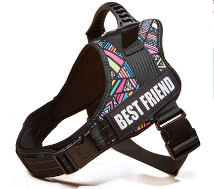 Premium Chest Harness Pet Leash: Ultimate Safety and Control