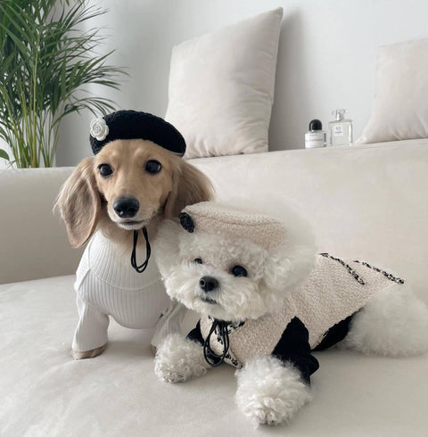 Knitted Pet Hat: Cozy and Stylish Accessories for Your Furry Friend